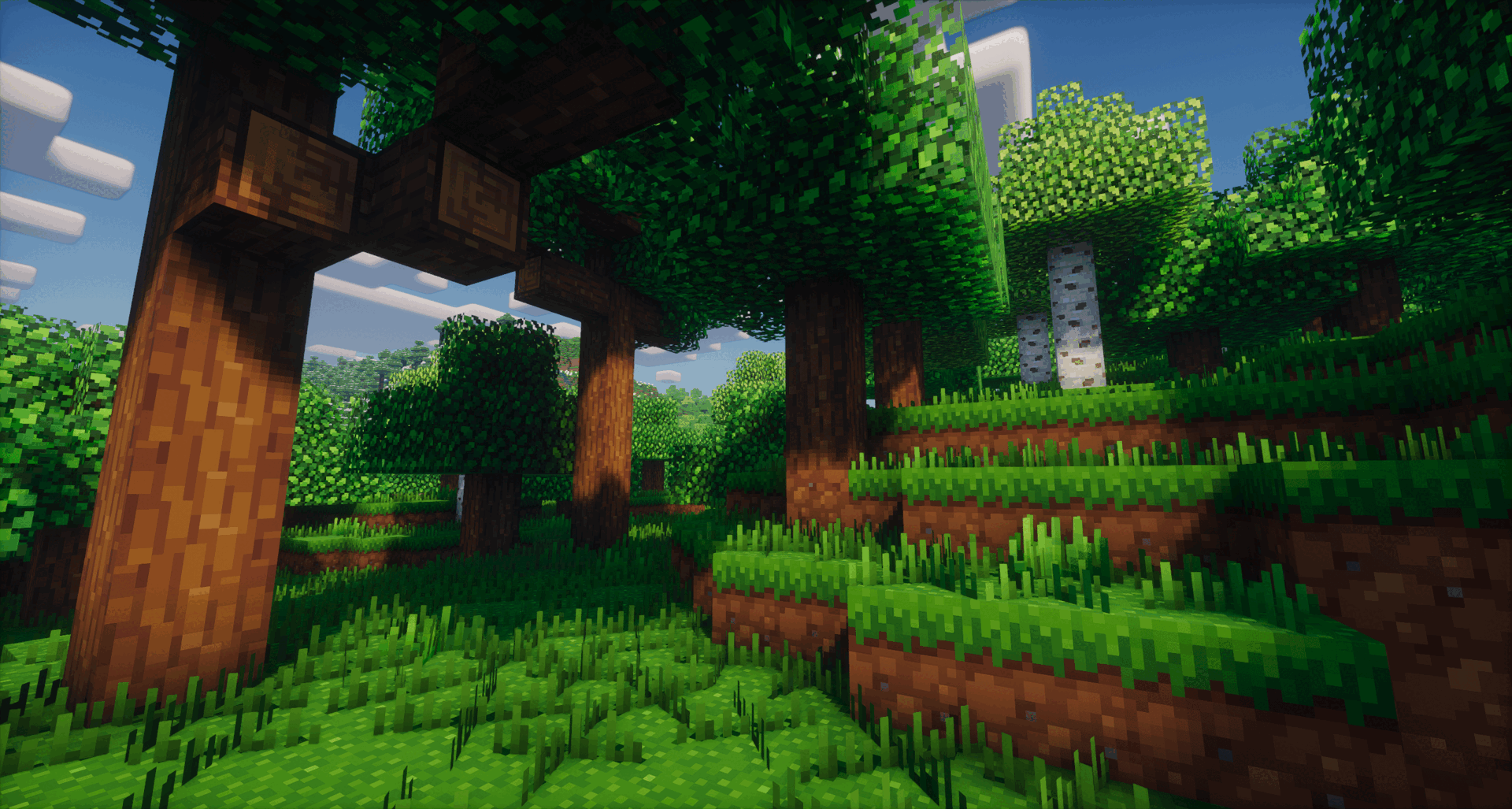 Whimscape | Comparison