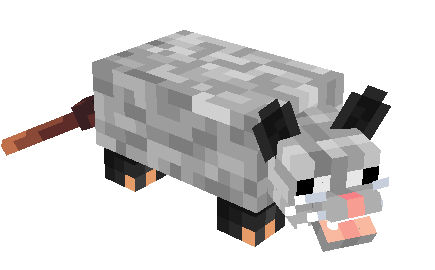 no pet