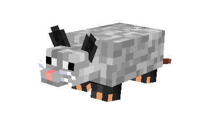 Possum