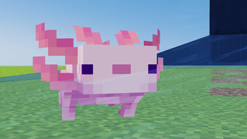 Owo