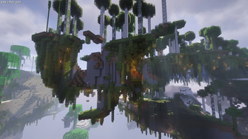 Birch Forest