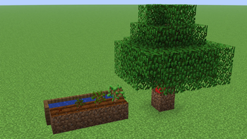 Petrified Sapling growth