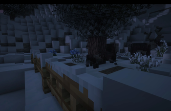Reindeers, not in the wild anymore