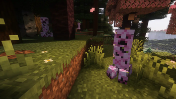 Cherry Creeper