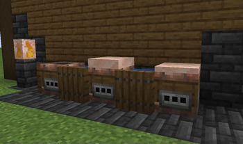 Salt Production