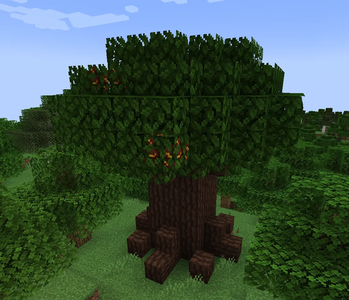 Deku Tree