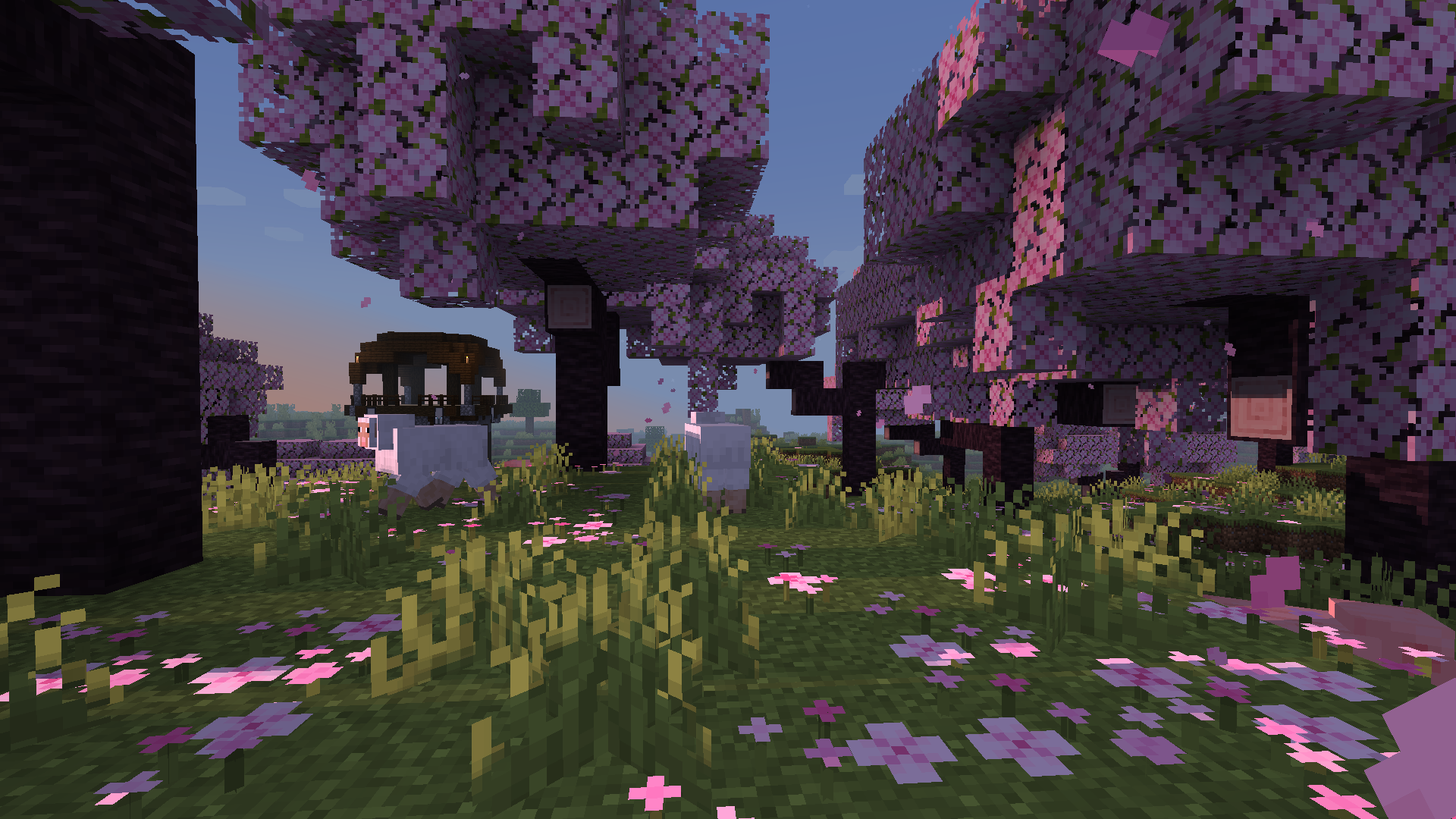 Shader main image