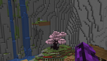 Switched FOV