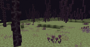 Chorus Vegetation