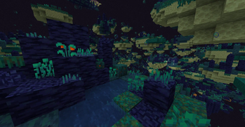 Warped Fishing