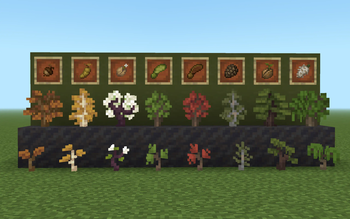 All the seeds and sprouts