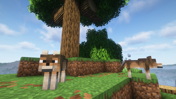 Even doggos like round trees! 🐕️
