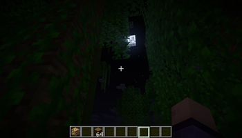 Moonlight