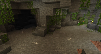 Caves