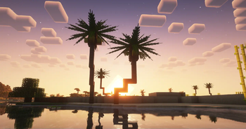 Palm Trees during a sunset