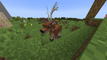 Deer