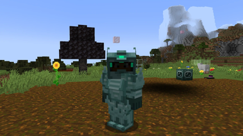 Diving Suit