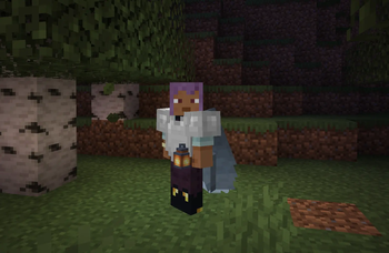Lantern and Elytra showing on player when inside pouch
