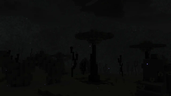 Midnight Magnia Fields