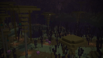 Celestial Grove