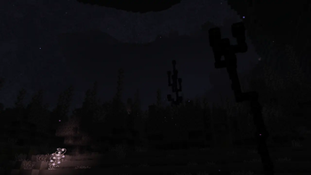 Midnight Veiled Woodlands