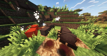 Leafcutter War
