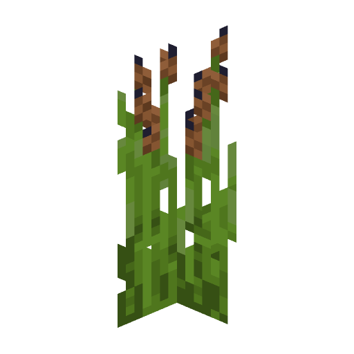 Swamp Reeds