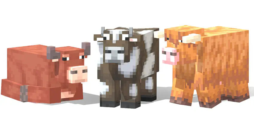 cows