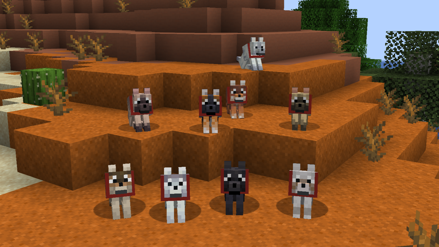 All Wolves