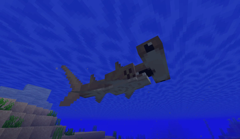 Underwater Shark
