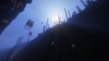 Jellyfish