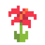 TeamHibiscus