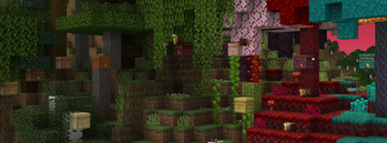 All 11 Beehives and Bees