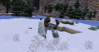 Yeti