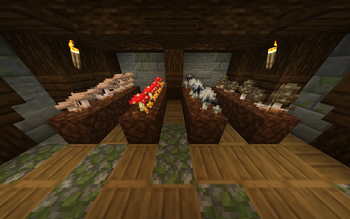 Mushroom Colonies
