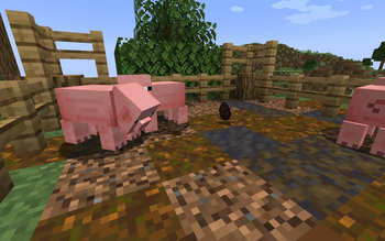 Pig Digging