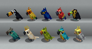 Parrots