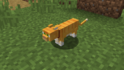 Red Tabby