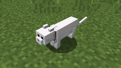 White Cat