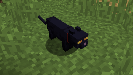 Black Cat