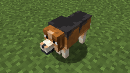 Beagle