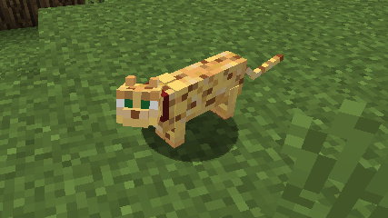 Ocelot