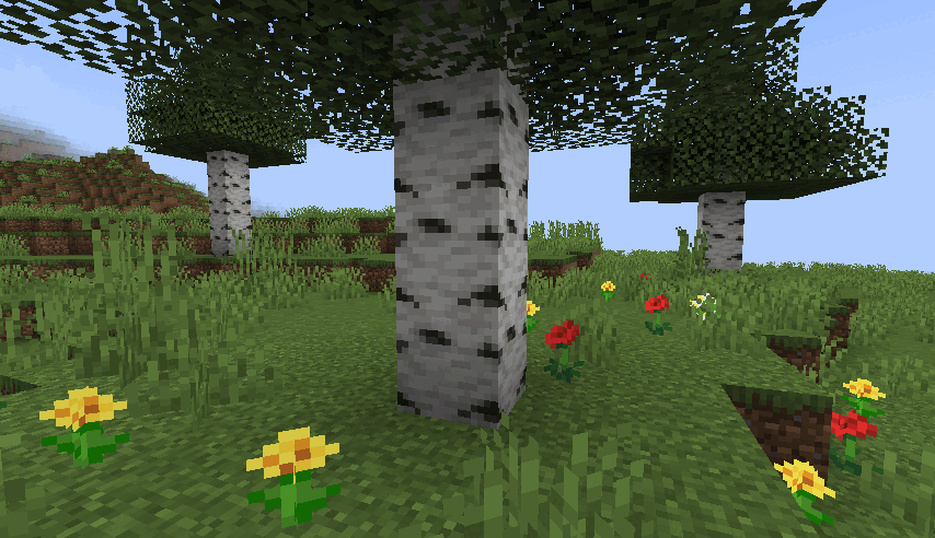 Chopping birch