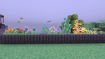 Flora