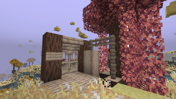 Sunroot