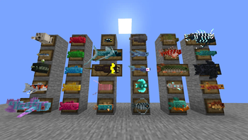 New fish compatible
