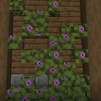 An Overgrown Wall
