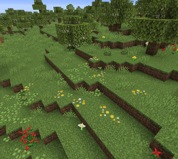 Orchard with wildflowers
