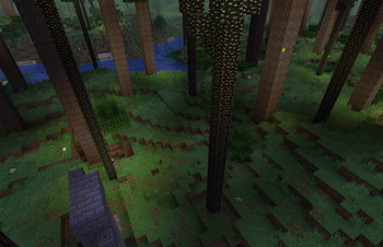Dense Forest biome with leaf litters and falling needles
