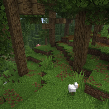 Deciduos Forest with leaf litters